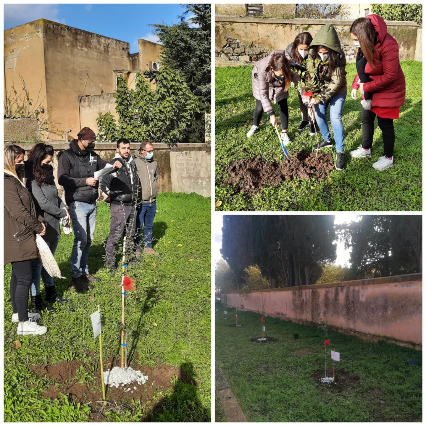 10 giornata dell albero 7 12