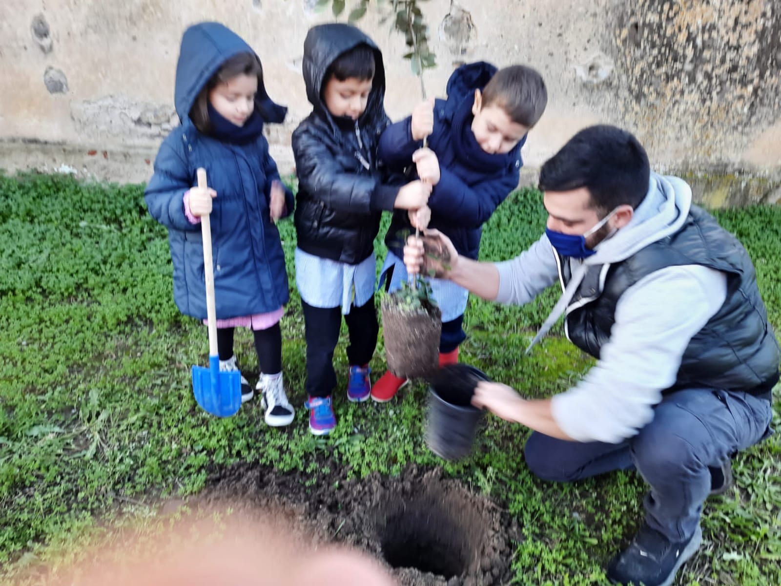 11 giornata dell albero 7 12