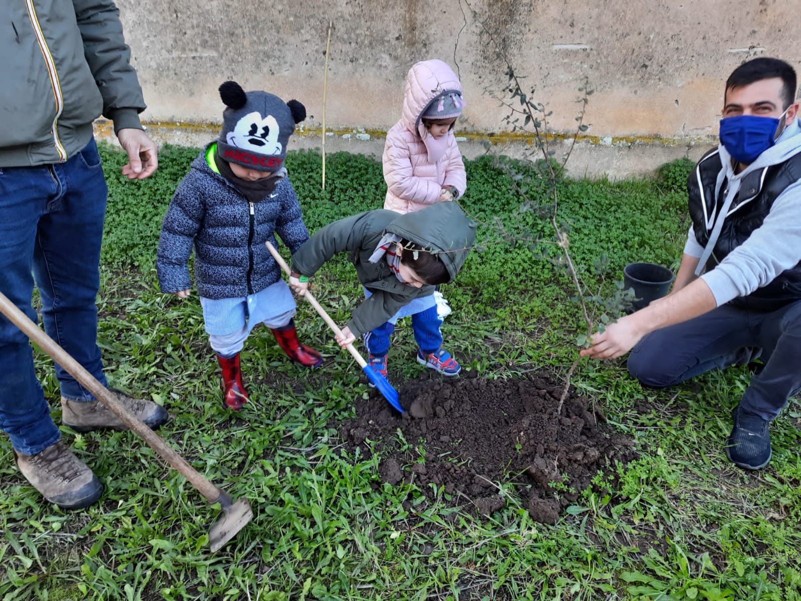 12 giornata dell albero 7 12