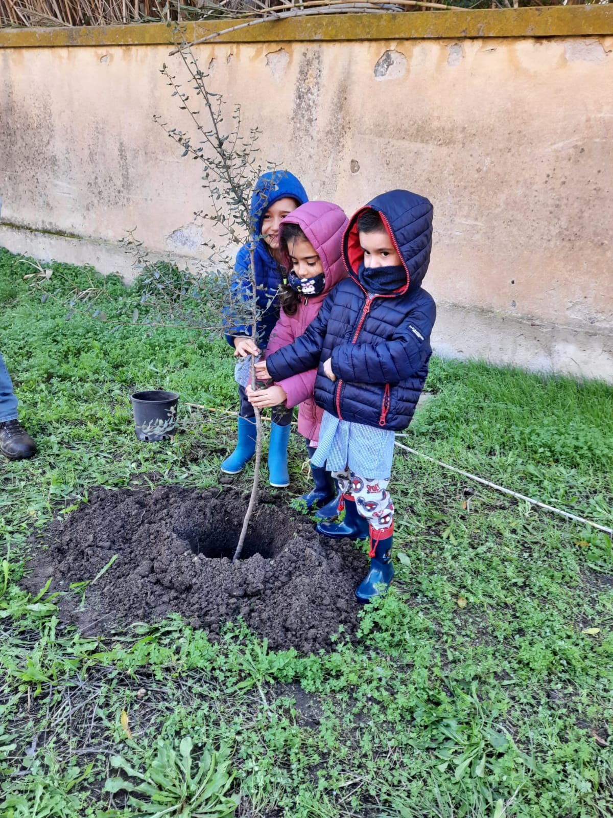 13 giornata dell albero 7 12