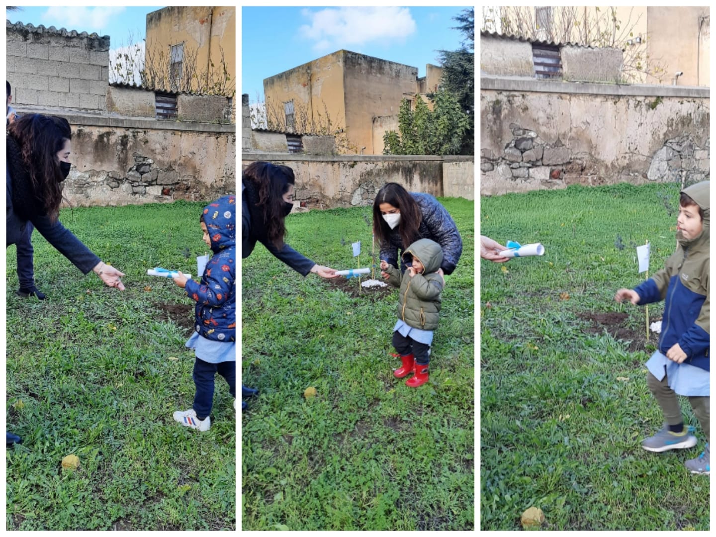 1 giornata dell albero 7 12