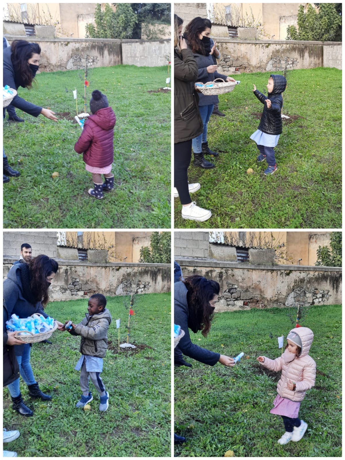 3 giornata dell albero 7 12 consegna diplomi