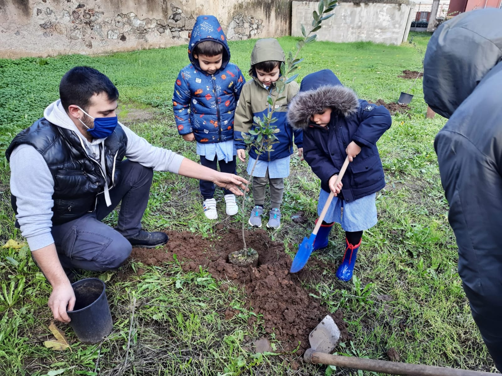 6 giornata dell albero 7 12