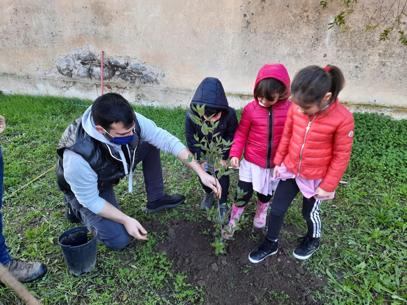 7 giornata dell albero 7 12