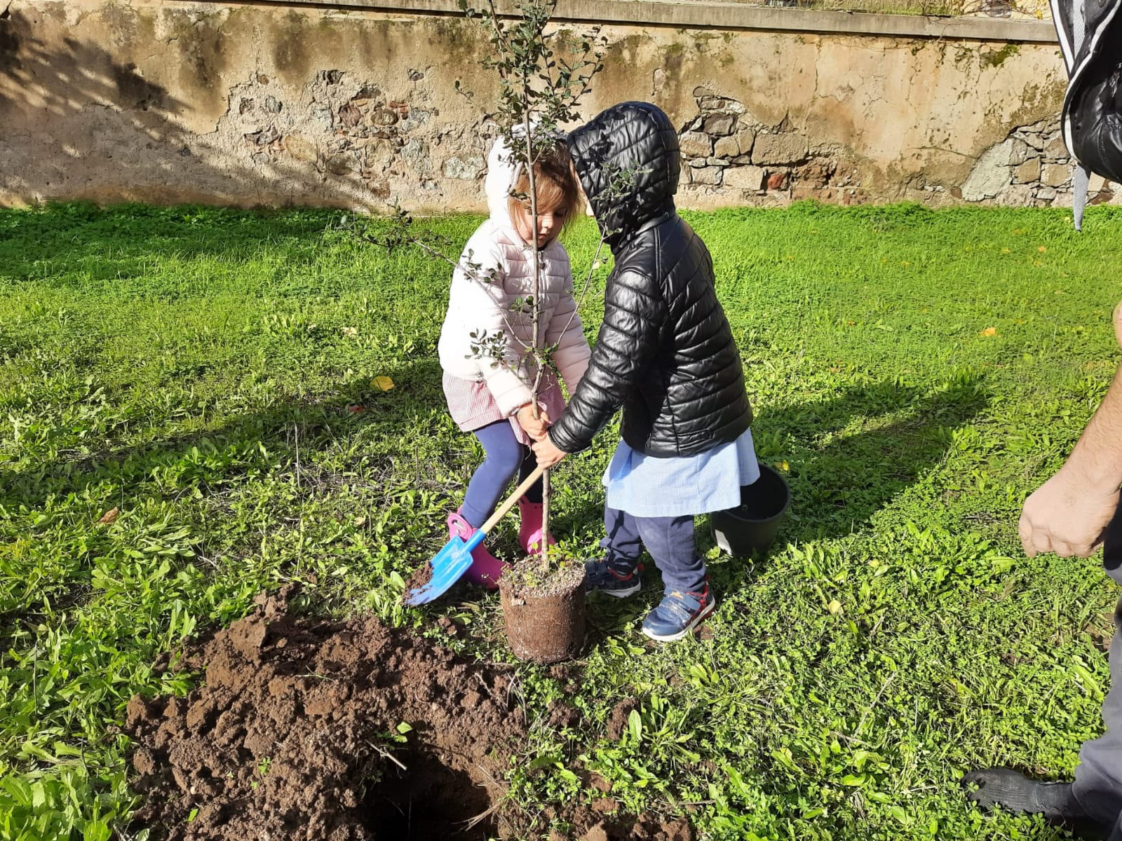 8 giornata dell albero 7 12