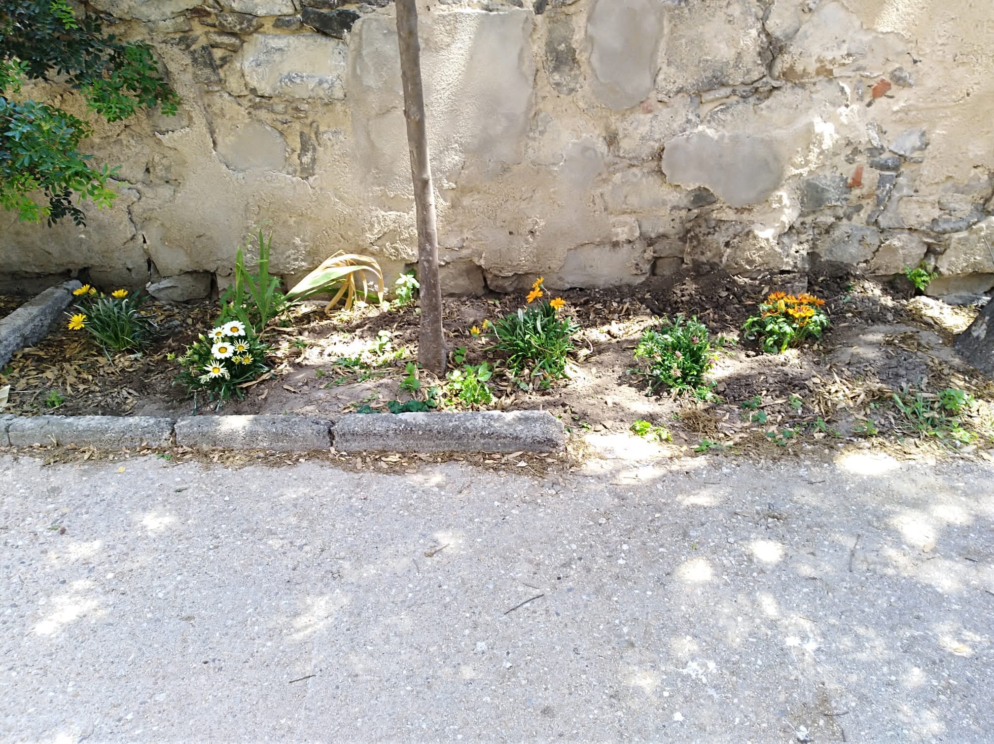 WhatsApp Image 2022 06 04 at 11.57.40