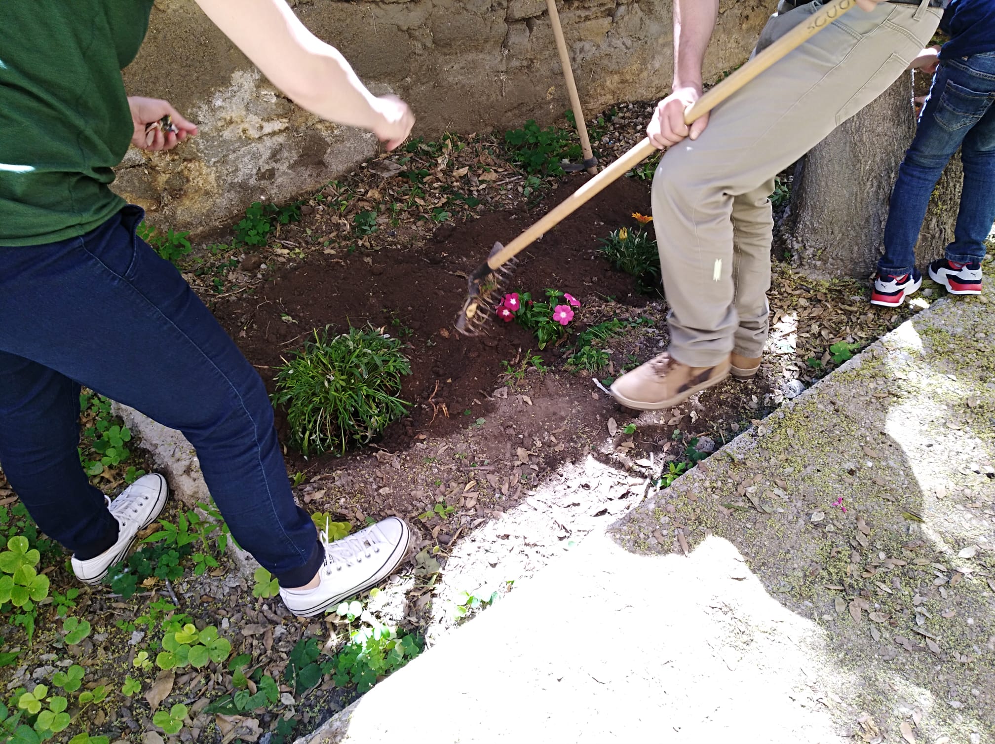 WhatsApp Image 2022 06 04 at 11.57.41 1