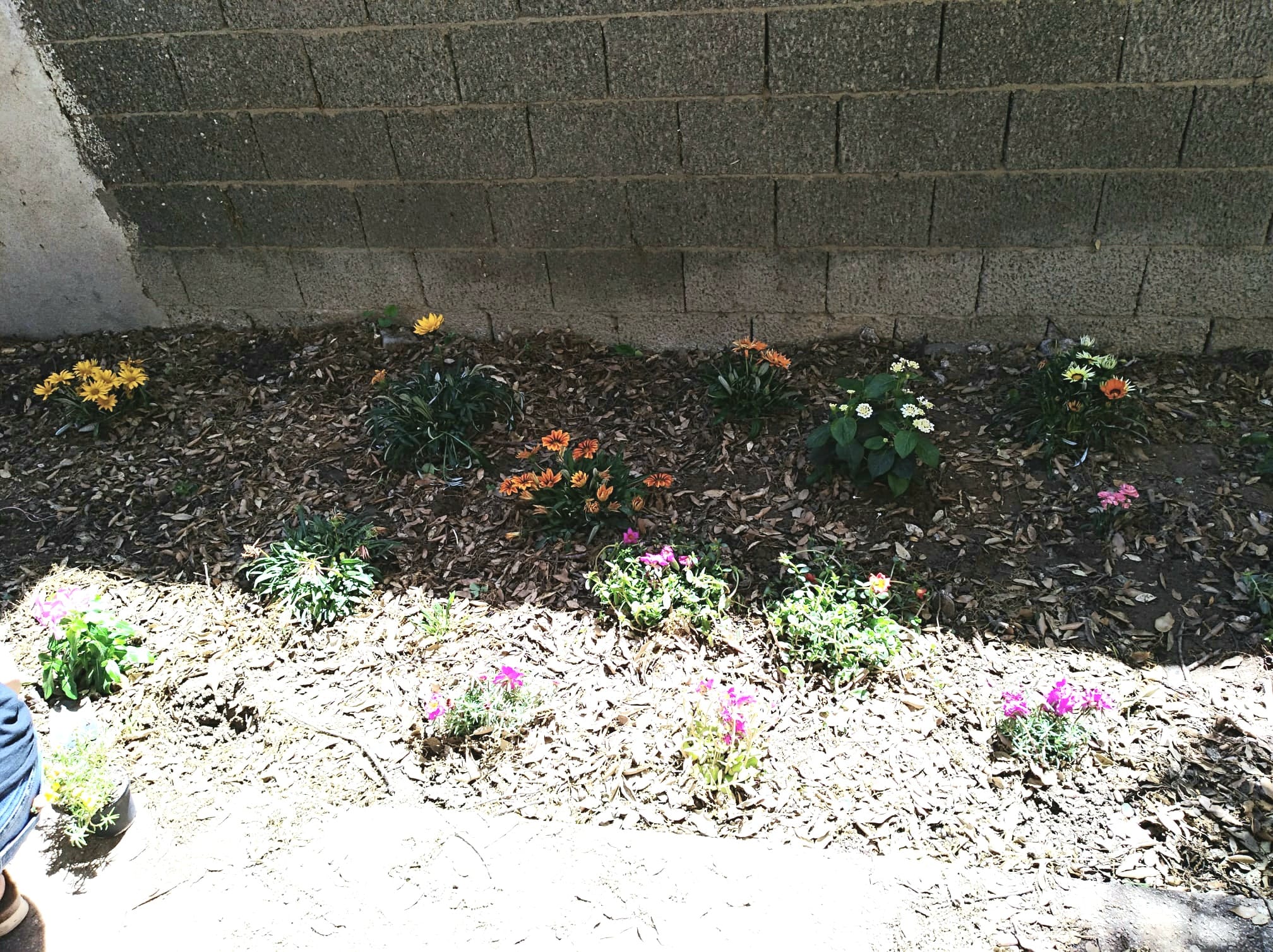 WhatsApp Image 2022 06 04 at 11.57.42