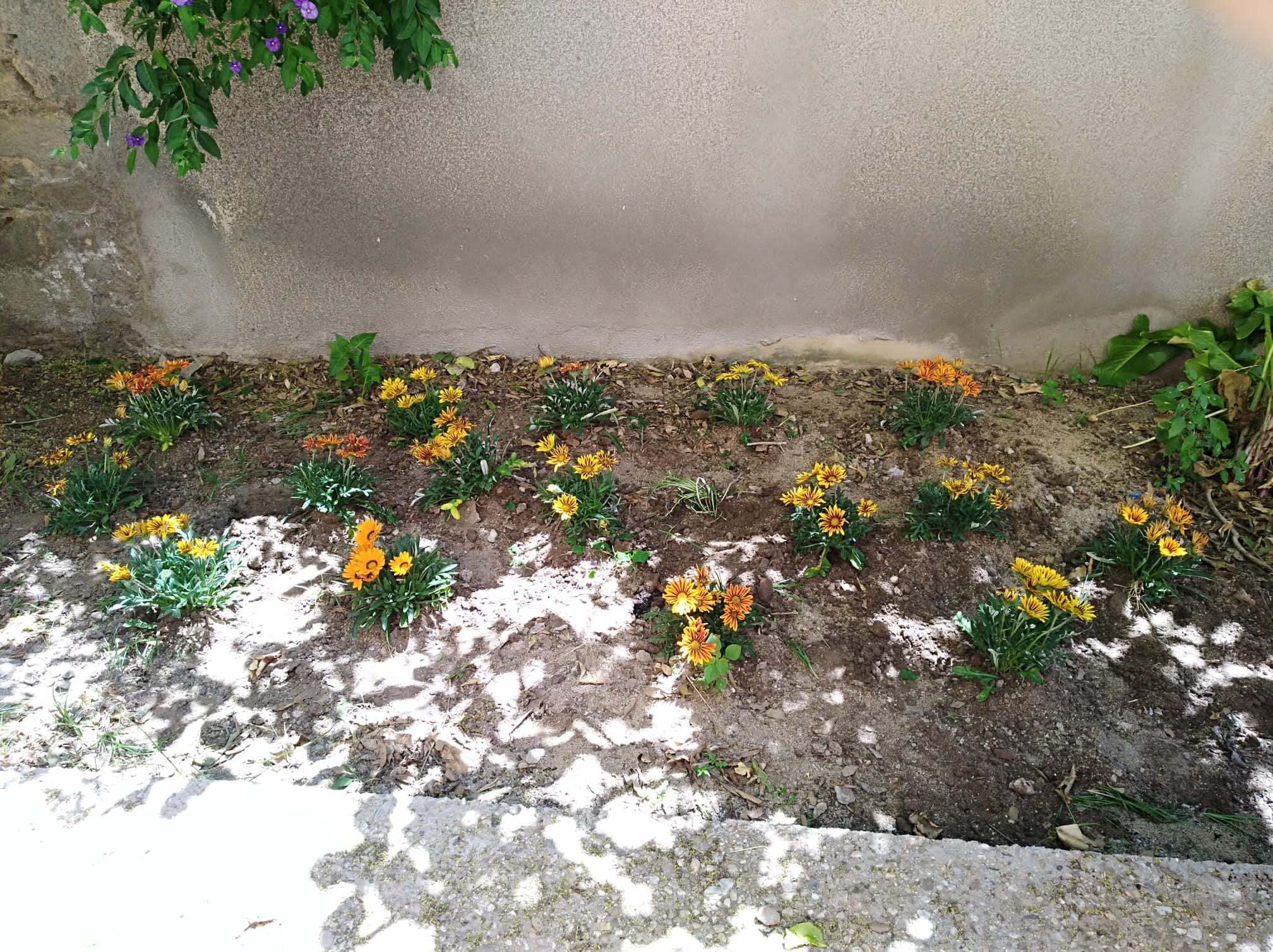 WhatsApp Image 2022 06 04 at 11.57.42 2