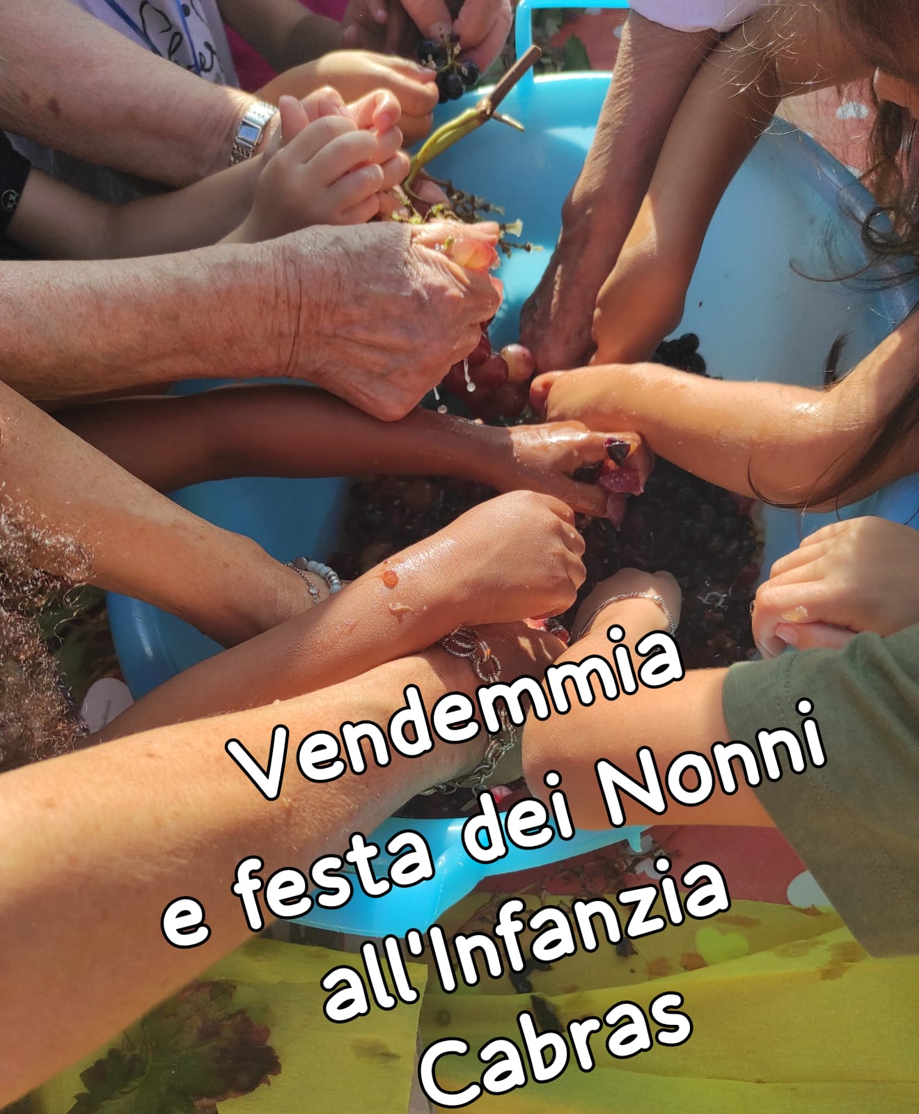 WhatsApp Image 2023 10 03 at 09.54.43