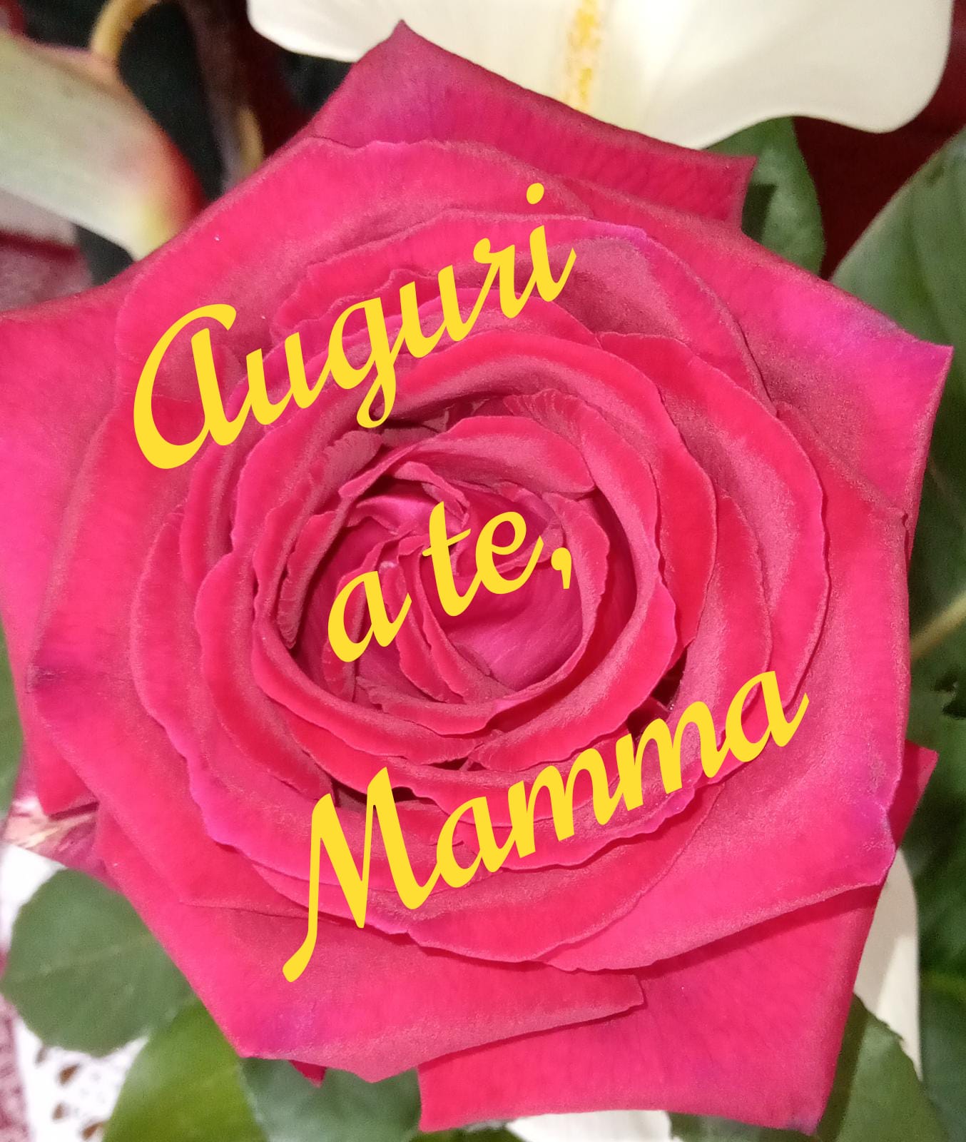 festa della mamma