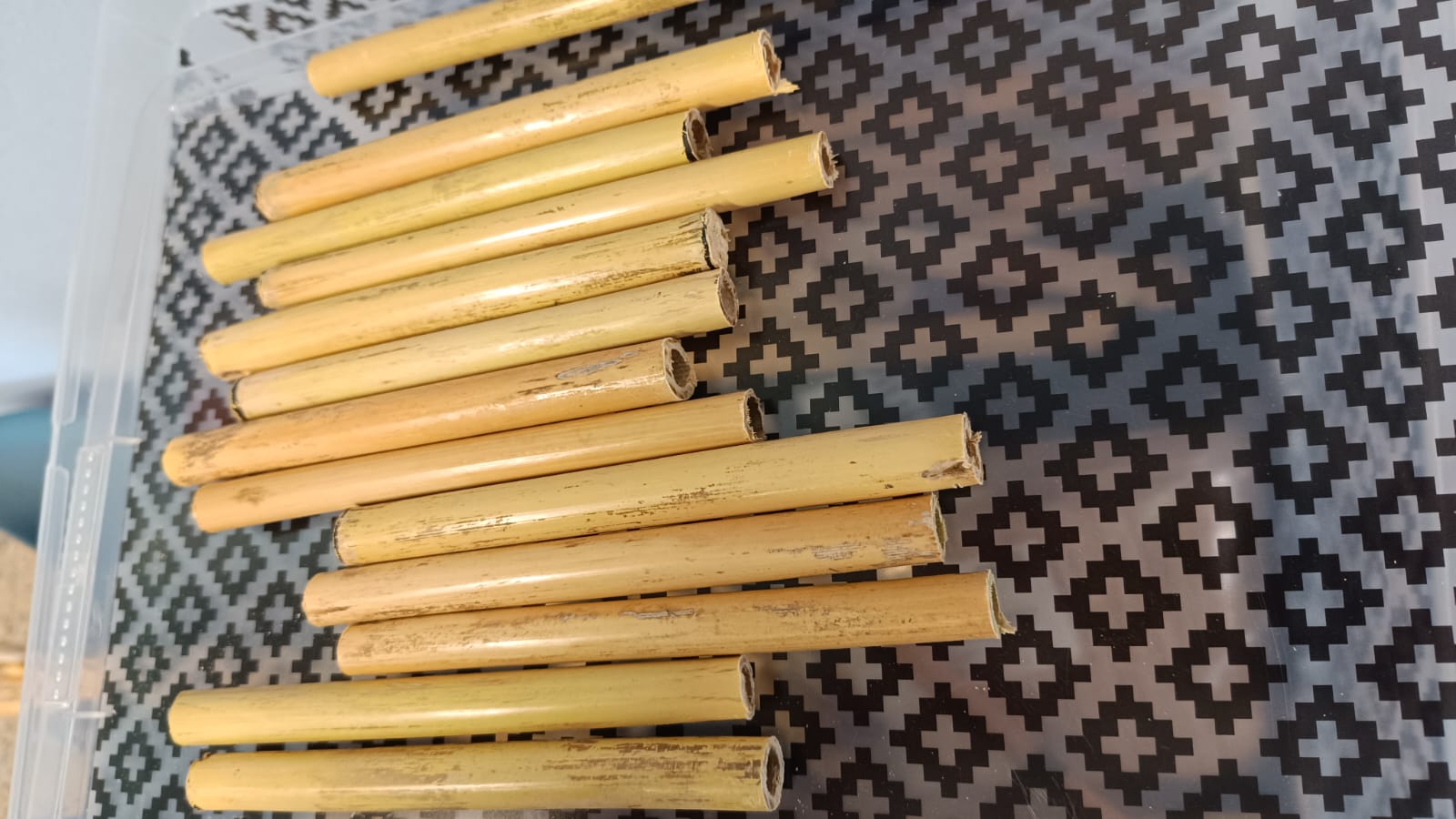 musica e strumenti antichi 4