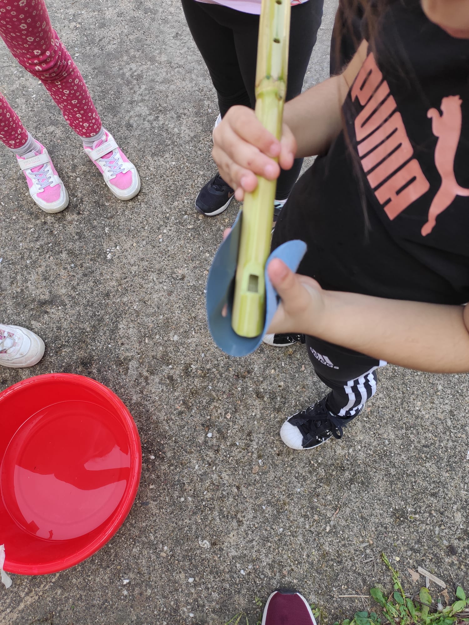 musica e strumenti antichi 6